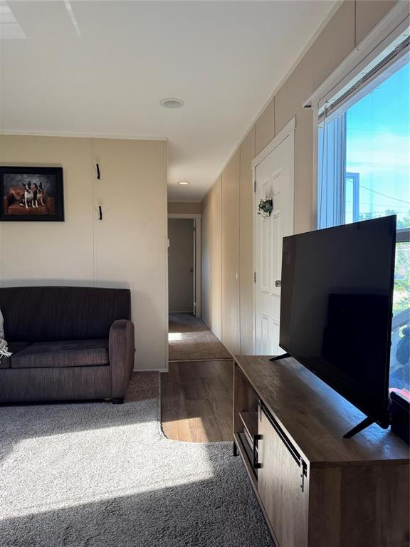 Lake Granbury Harbor - Residential