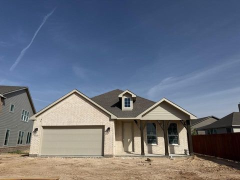 1237 Frio Drive Springtown TX 76082