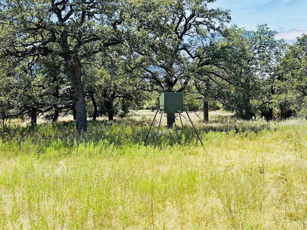 12629 County Road 126