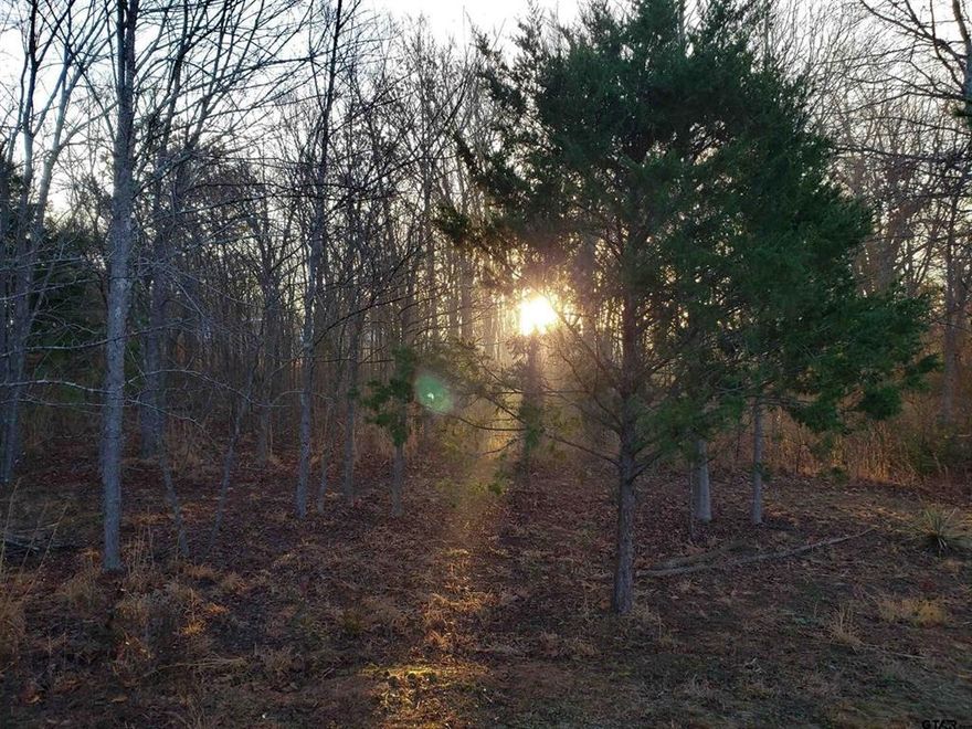 Whether you’re looking to build your dream home, start a small farm or recreational retreat your property is ready for you to bring your dream to fruition. Opportunities like this are rare in East Texas. Your tranquil 10-acre lot invites you to create your vision with endless possibilities. Build your dream homestead or go off-grid. Fresh cut trails abound for hiking, trail riding and hunting in addition to a creek at the back of the property. There is plenty of space for building your home, gardening, and recreation yet only minutes from the conveniences of town. No restrictions known to seller. No special conditions known to seller. Fence on west side belonging to adjoining property. No fence in between this property and the adjoining property on the east side.