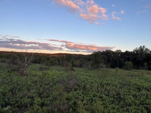 73 ac Hwy 16 Loving TX 76460