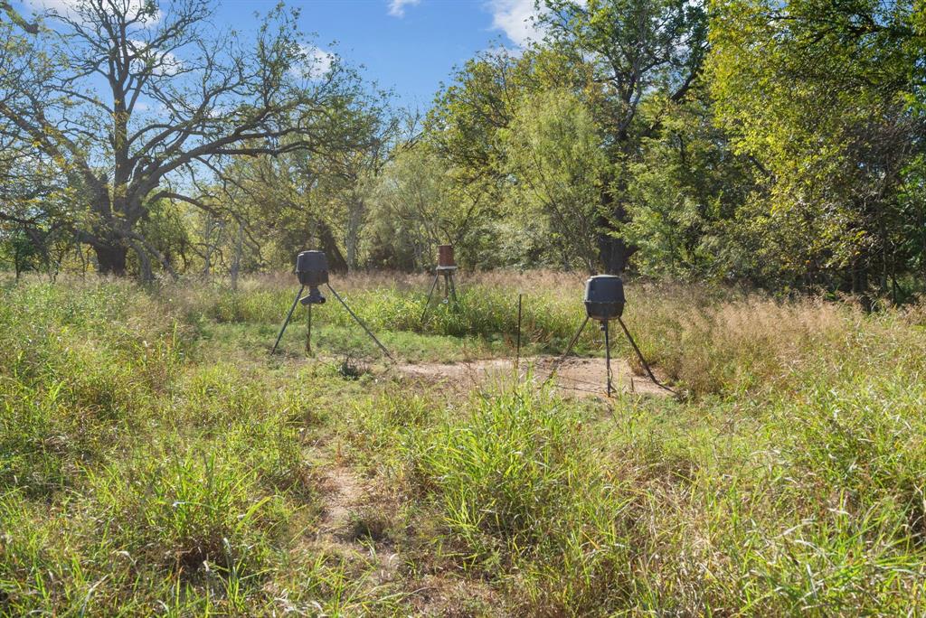 M D J Trevino - Farm