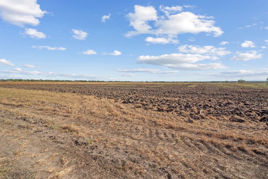 M D J Trevino - Farm