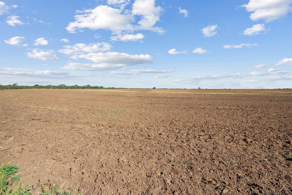 M D J Trevino - Farm