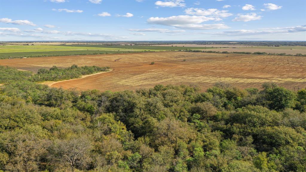 M D J Trevino - Farm