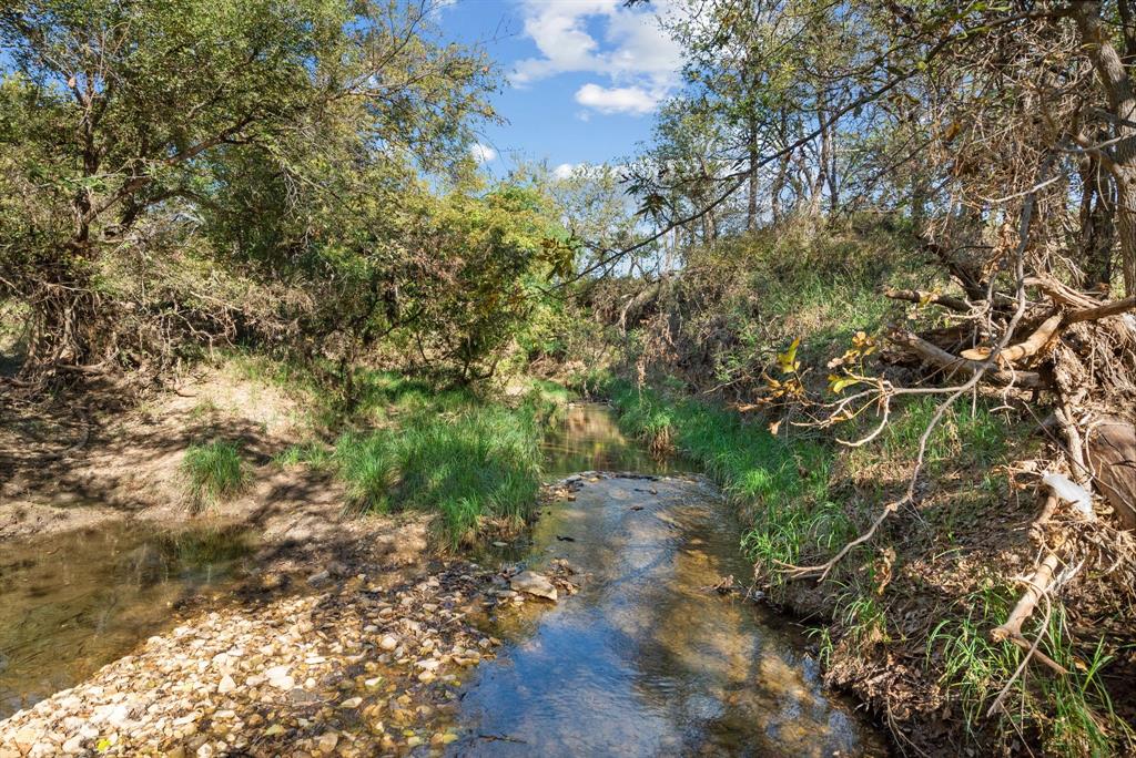 M D J Trevino - Farm