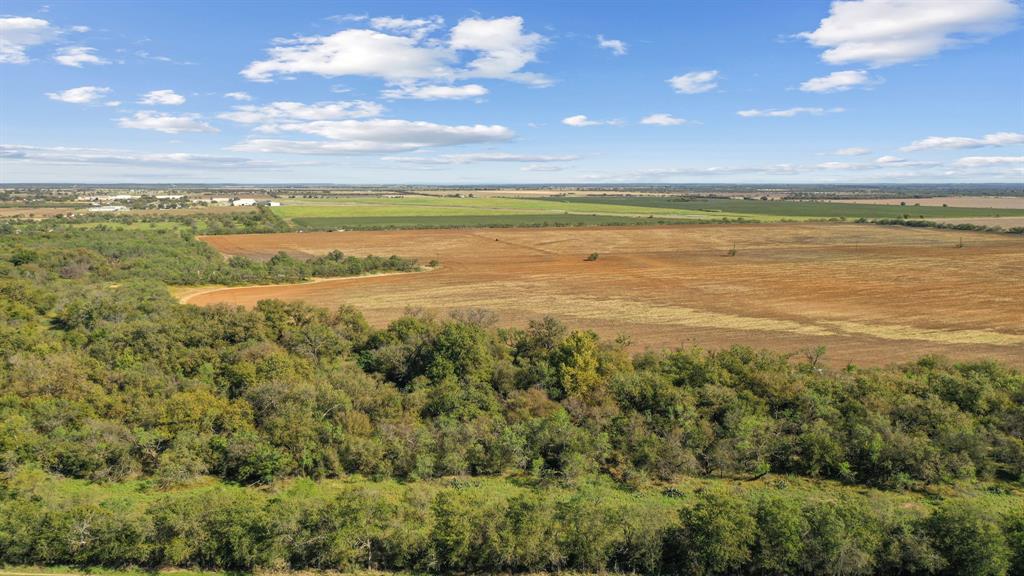 M D J Trevino - Farm