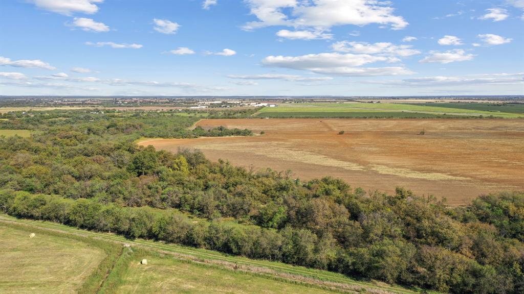 M D J Trevino - Farm