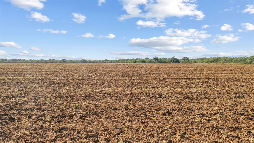 M D J Trevino - Farm