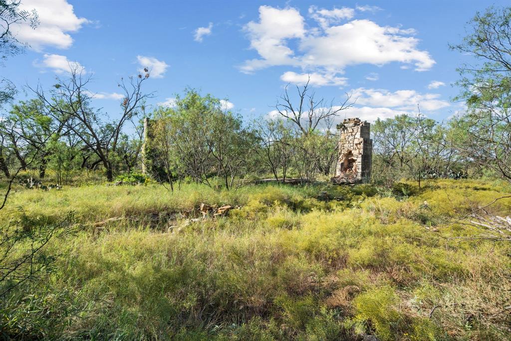 M D J Trevino - Farm