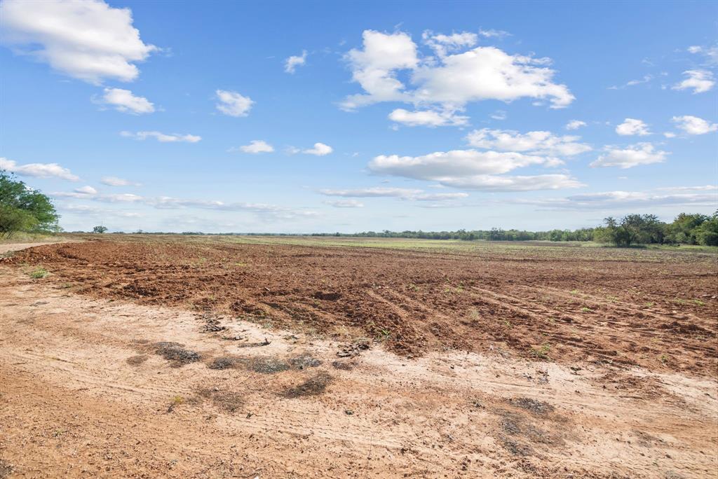 M D J Trevino - Farm