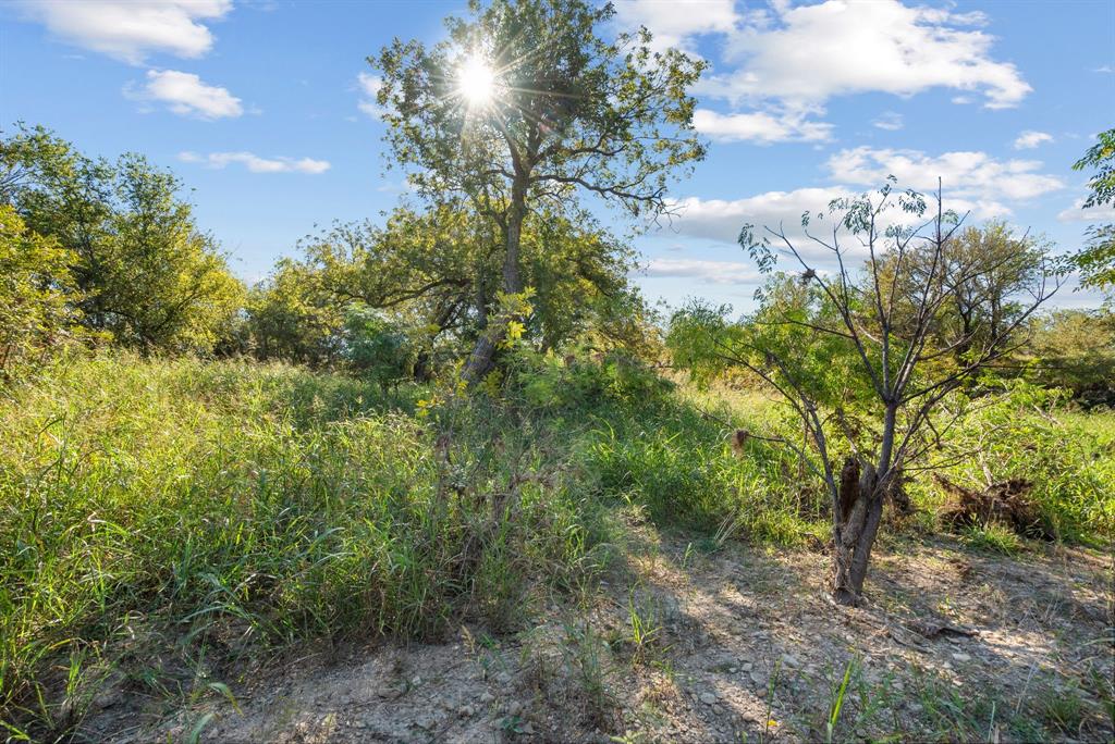 M D J Trevino - Farm