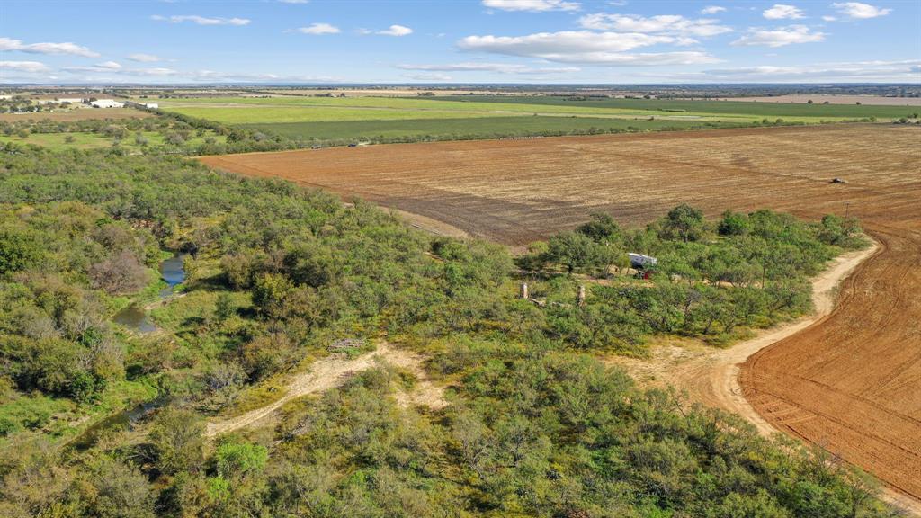 M D J Trevino - Farm