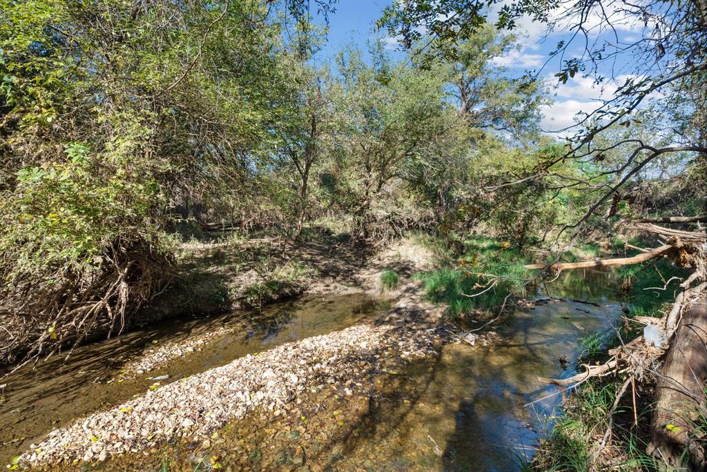 M D J Trevino - Farm