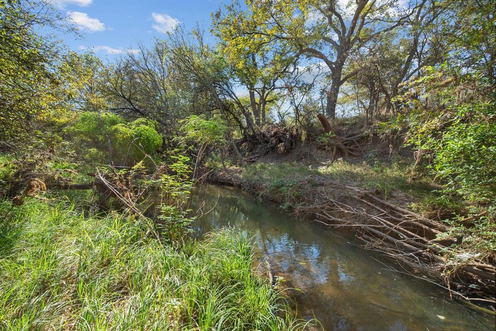 M D J Trevino - Farm