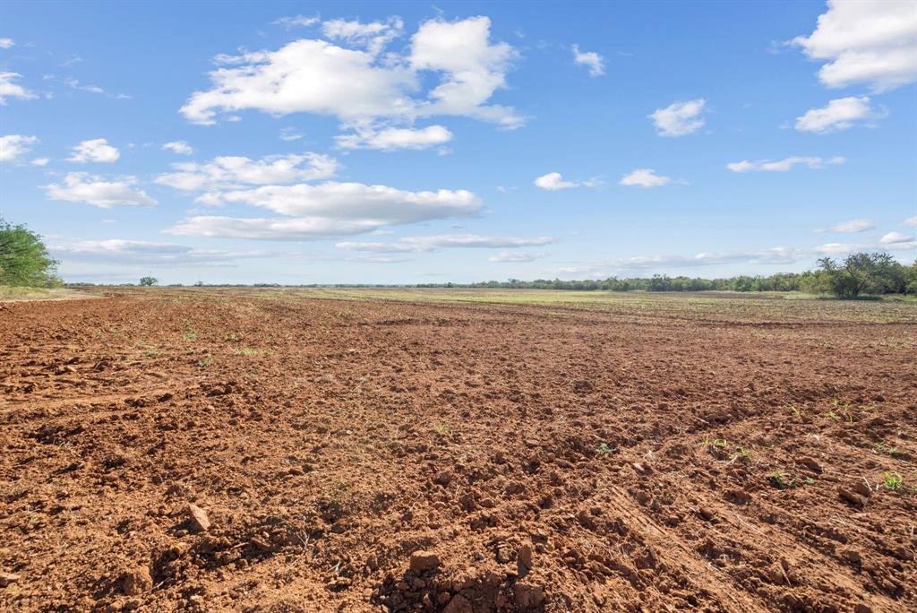 M D J Trevino - Farm