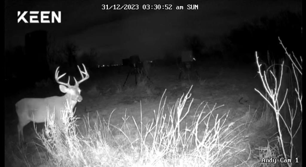 M D J Trevino - Farm