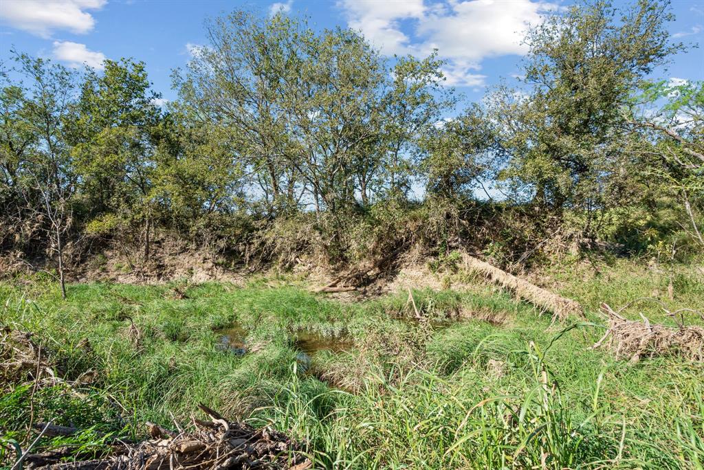 M D J Trevino - Farm