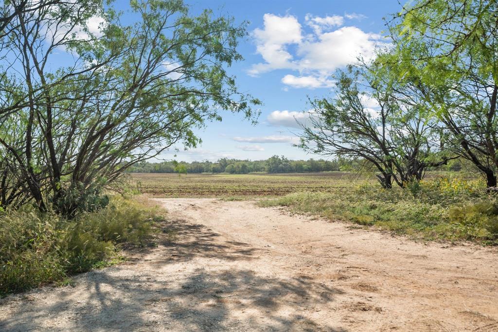 M D J Trevino - Farm