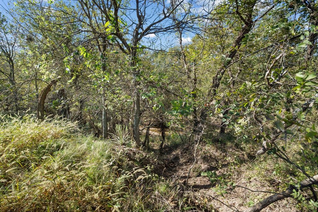 M D J Trevino - Farm