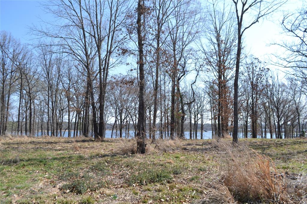 Angler Shores - Land