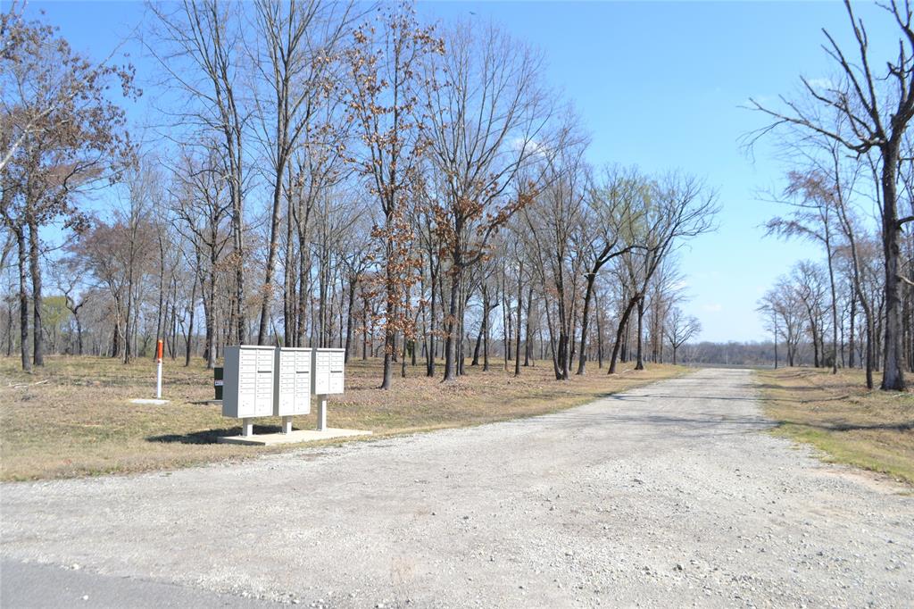 Angler Shores - Land