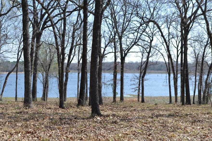 Discover the perfect opportunity to build your dream lake home in Lot 13, Angler Shores, one of Lake Fork’s newest and most exciting waterfront developments, located in Yantis. This beautiful 1.01-acre waterfront lot offers deeded ownership plus leaseback, providing exceptional space and shoreline access. The property is dotted with mature trees, offering natural beauty, privacy, and a serene East Texas setting. Angler Shores is a private, gated neighborhood with deed restrictions, ensuring long-term value and a well-maintained community. Residents enjoy access to community amenities including a neighborhood picnic area, centralized community mailbox and if available you can pay for a slip in the dock. Whether you’re planning a full-time residence or a weekend retreat, this lot delivers the ideal blend of tranquility, security, and Lake Fork lifestyle.