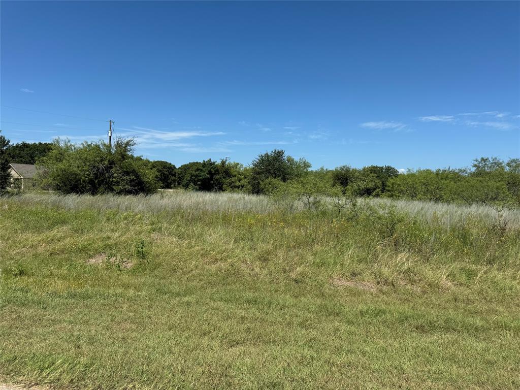 White Bluff #24 - Land