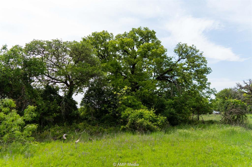 9999 County Road 241