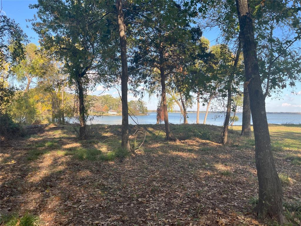 Lot 81 Open Water Point