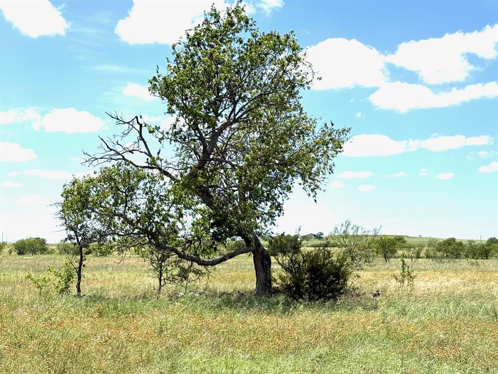Lot 30 PR 4311