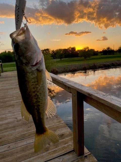 Lone Oak Meadows - Land