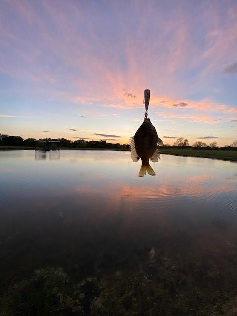 Lone Oak Meadows - Land