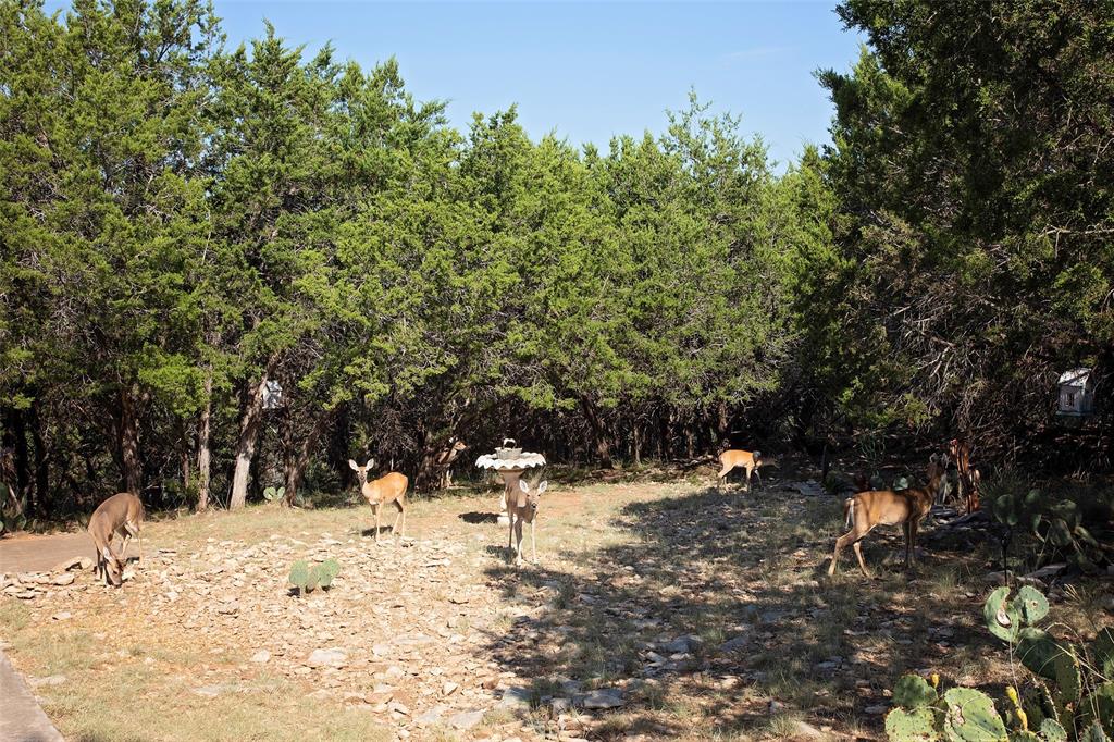 The Cliffs VII - Residential