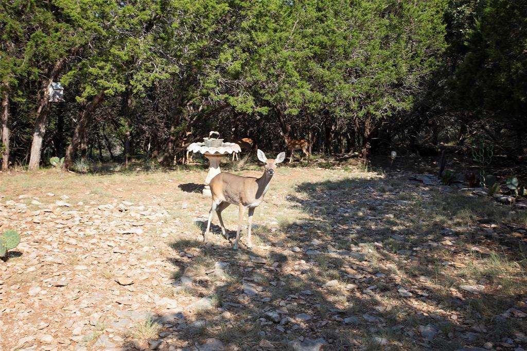 The Cliffs VII - Residential