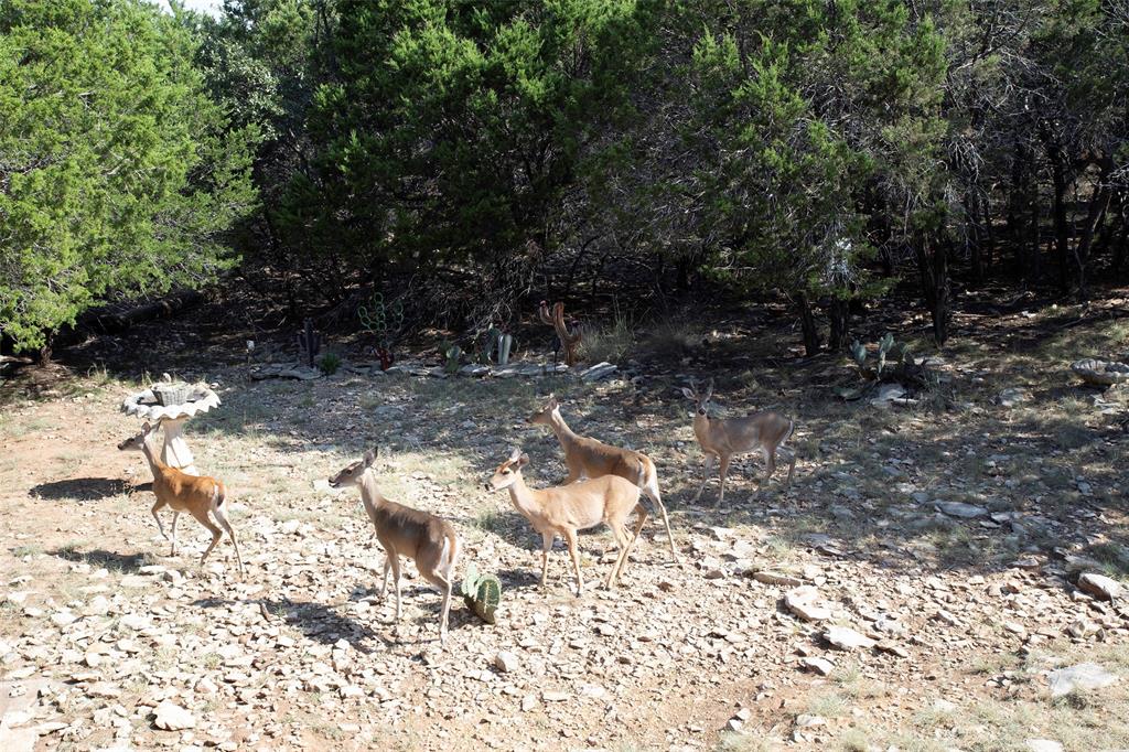 The Cliffs VII - Residential