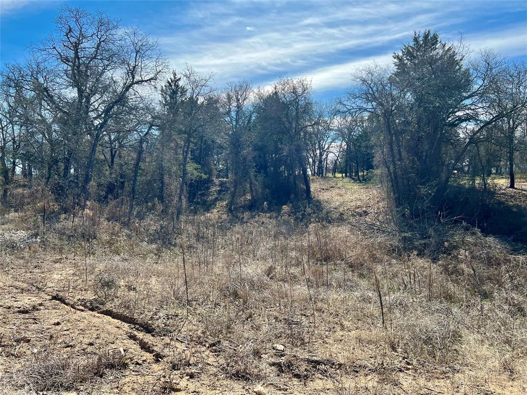 The Ranches of Blackjack Meadows - Land