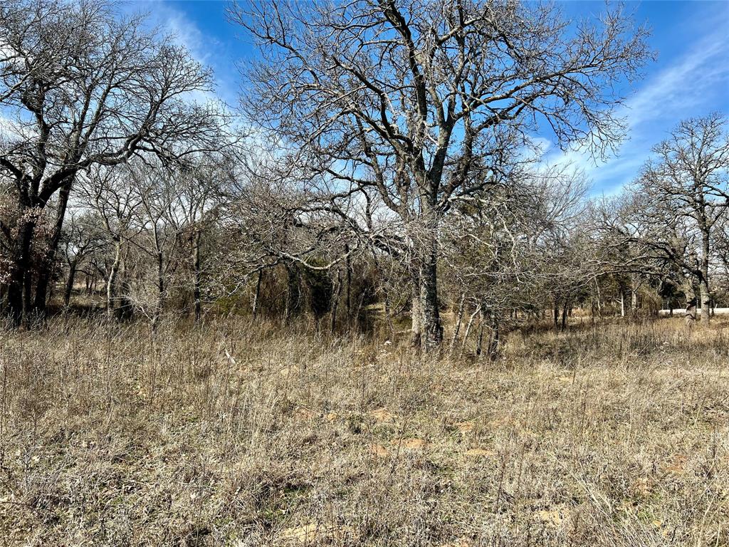 The Ranches of Blackjack Meadows - Land