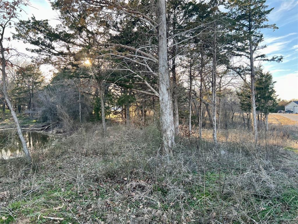 The Ranches of Blackjack Meadows - Land