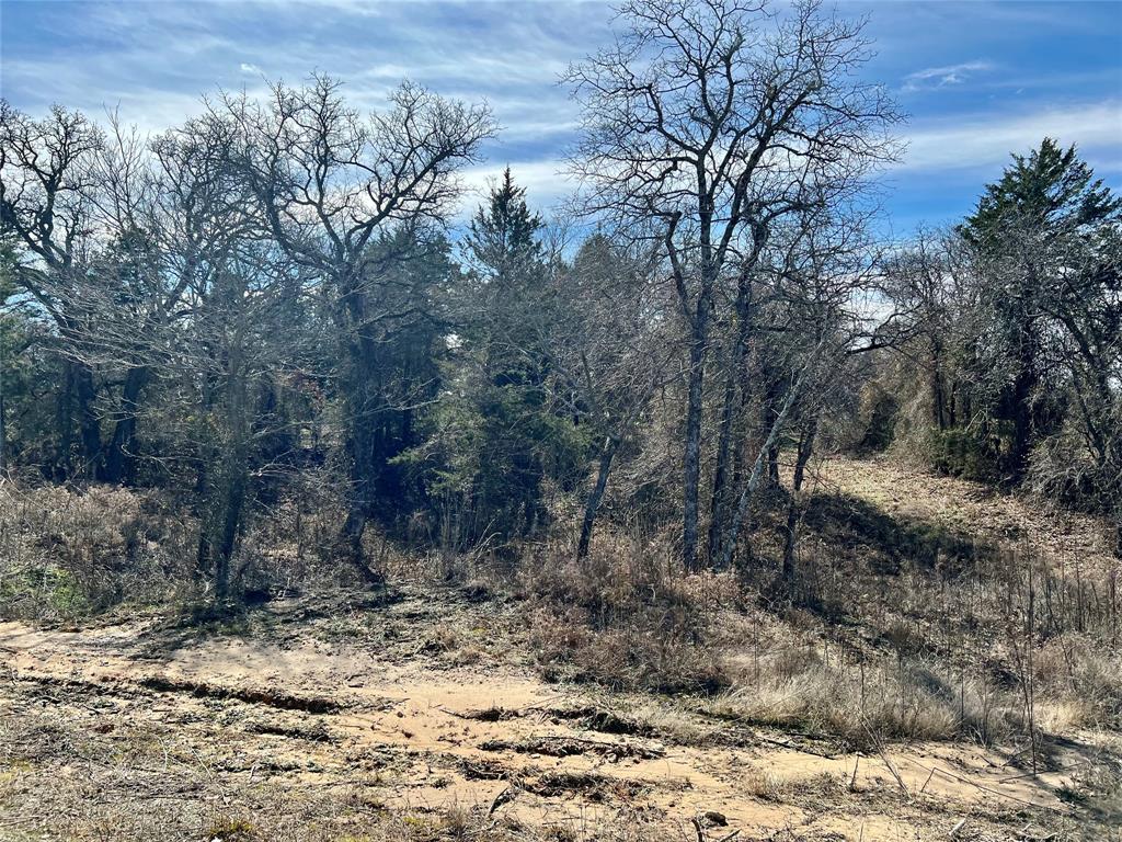 The Ranches of Blackjack Meadows - Land