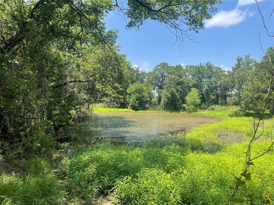 5+- ac rare find nestled among all the beauty you can stand in sought after southeast Montague County. Established subdivision with pride of ownership. Already constructed large sq foot shop with lean-to & indescribable views. Electric in place & ready to be established. Fiber optic secured as well. Perfect size pond where ducks & wildlife can come & enjoy. This pond invites wildlife throughout the year. Easy idea for entrance to lead to your choice home location. Tree coverage over pond to allow for a great area to place a picnic table, tree swing, or any idea you wish & gives privacy for your home vision. Whether you are looking for a weekend getaway or primary home this property is a perfect fit. Roads already installed with easy drive to Hwy 82 & on to I35. Montague is short hop for gas & eats. Truly majestic property. Ideal location. Turn your imagination loose & let a dream become realty.