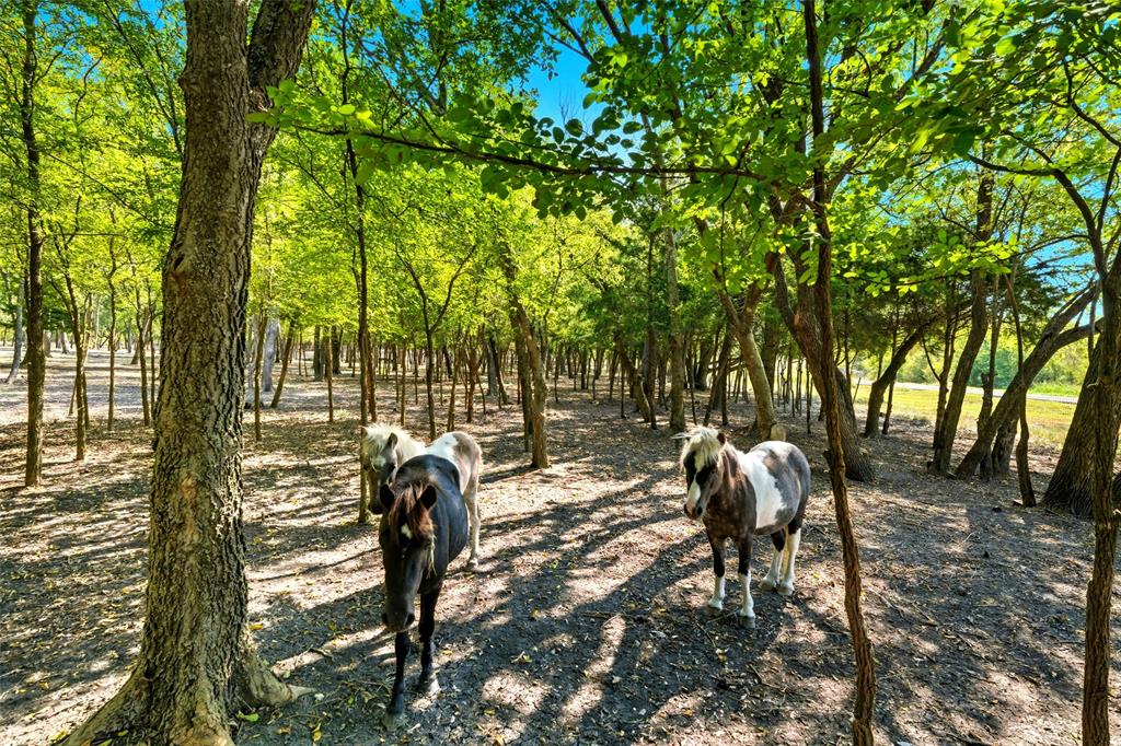 A Steele - Residential