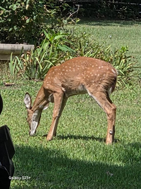Stewart Henry - Residential