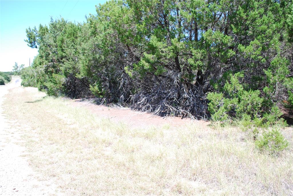 White Bluff #8 - Land