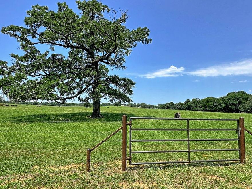 This wonderful tract of land has rolling improved coastal fields sprinkled with large hardwoods and a pond.  This tract sits in a great location on a quiet county road and is adjacent to several large ranches.  Utilities and high speed internet available.  Owner willing to subdivide.
