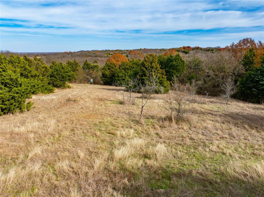 R. de la Pena League - Land