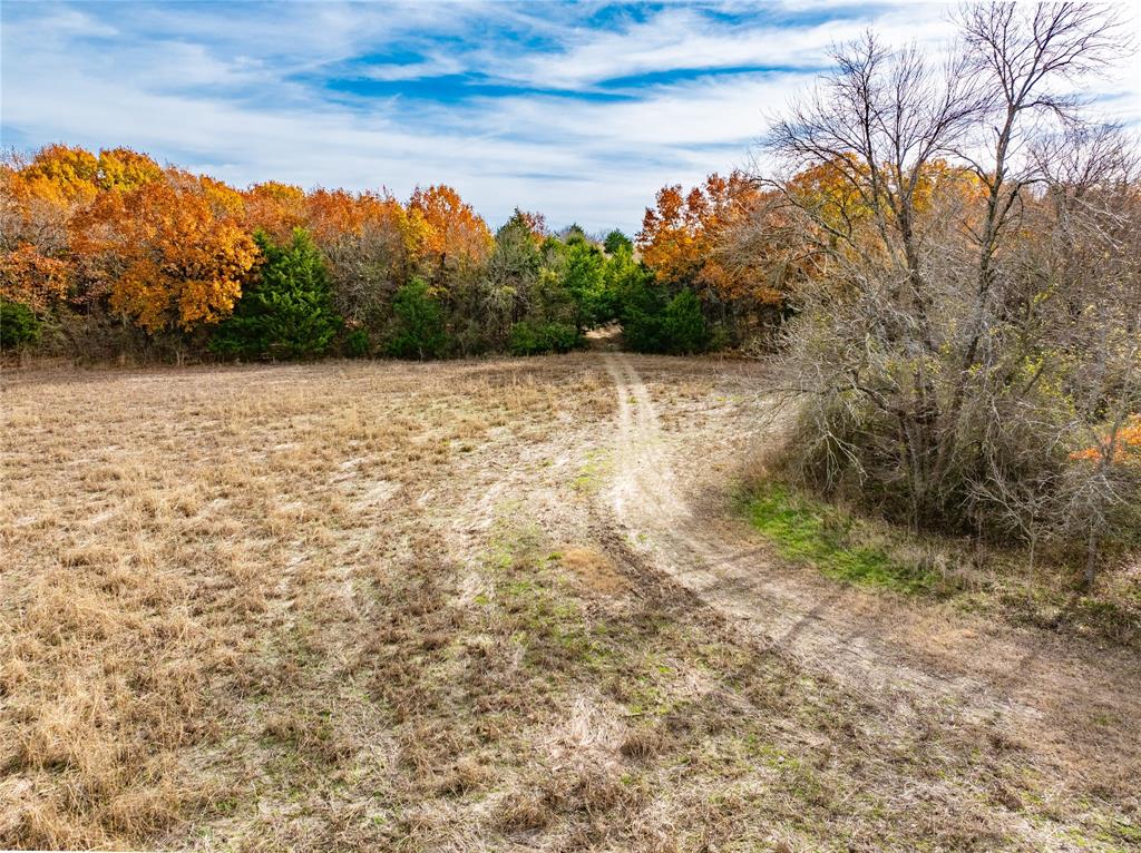 R. de la Pena League - Land