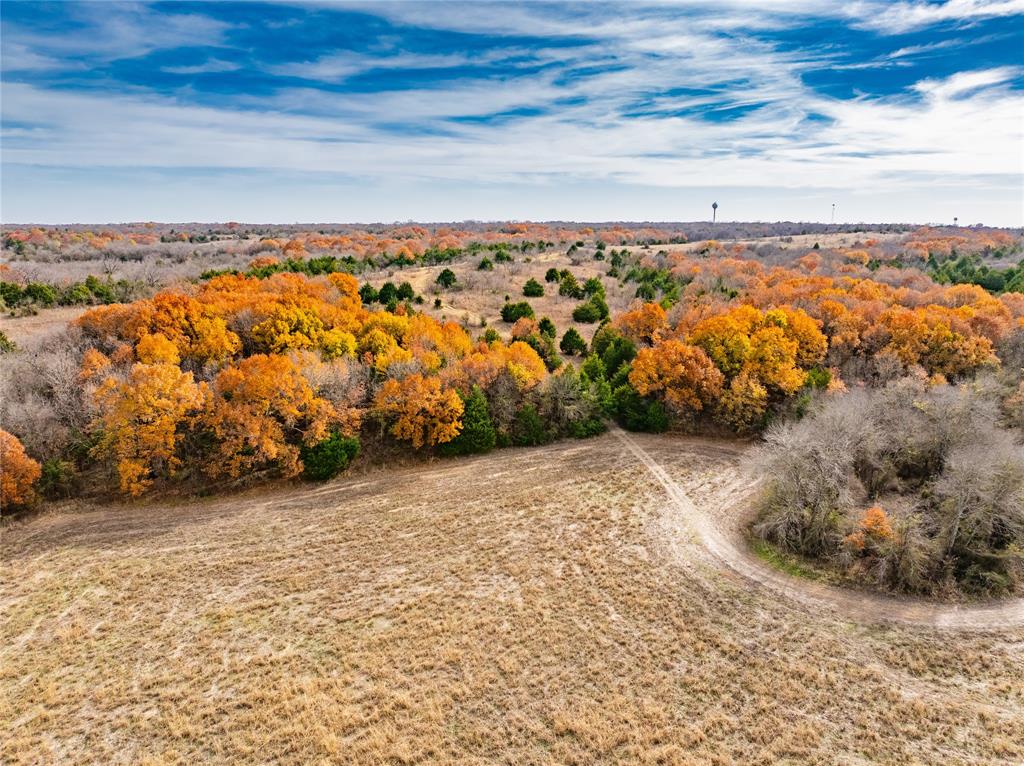 R. de la Pena League - Land