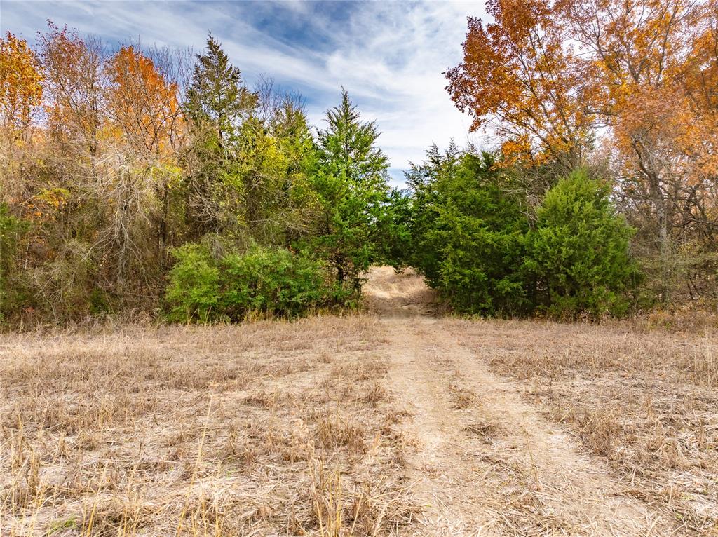 R. de la Pena League - Land