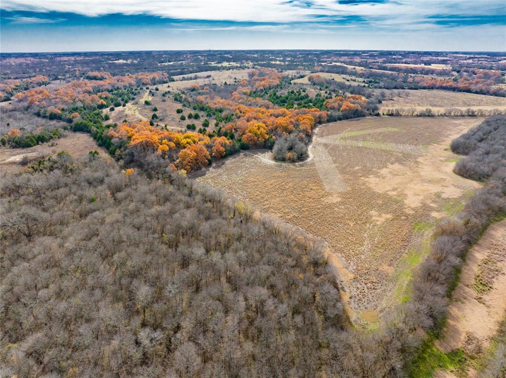 R. de la Pena League - Land